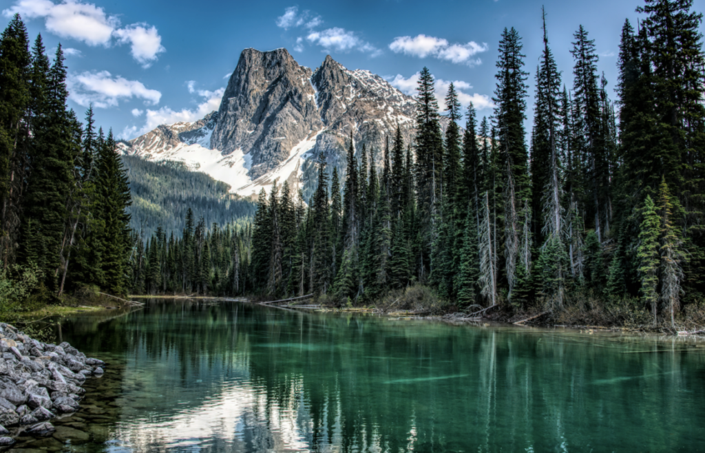 Fora Travel Expands to British Columbia