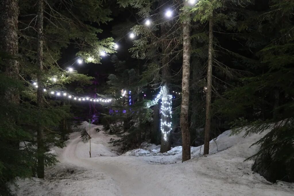 Snowshoeing on Cypress Mountain