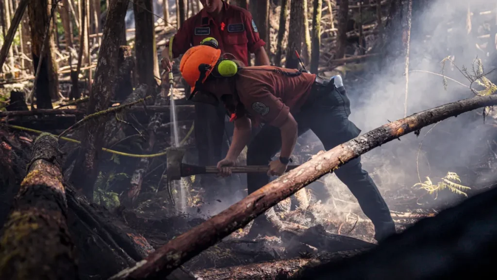 Four New Wildfires on Vancouver Island After Lightning Strikes Four New Wildfires on Vancouver Island After Lightning Strikes